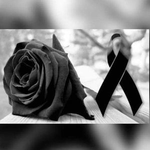 Meet your Posher, Josefina